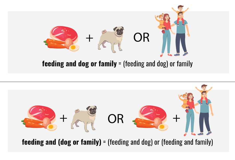 Feeding, Dog and Family